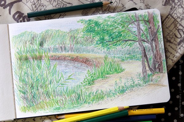 Природа цветными карандашами