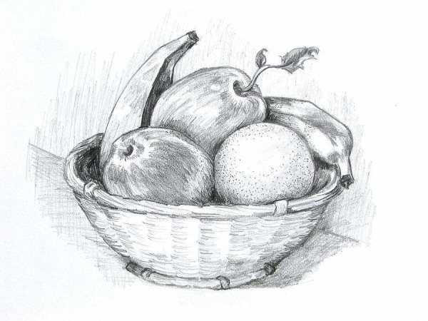 Фрукты карандашом