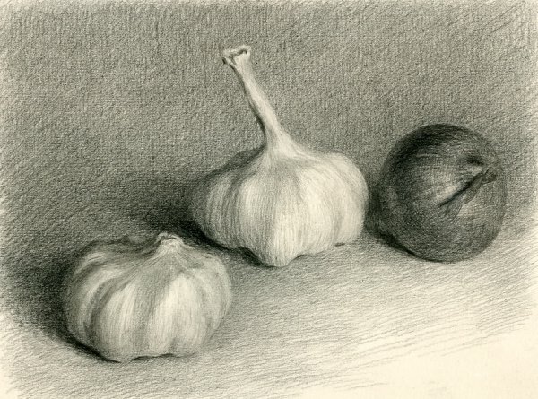 Натюрморт с фруктами карандашом