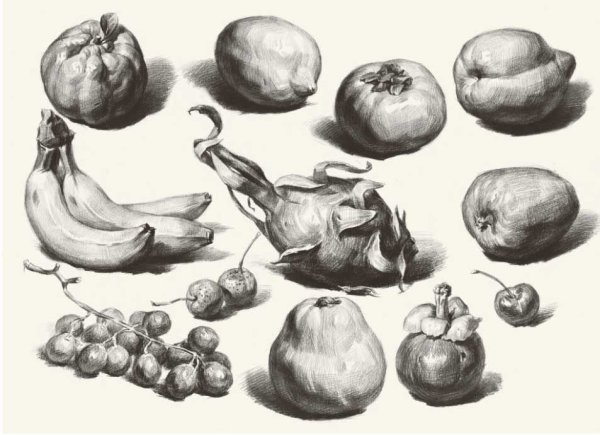 Рисунок фруктов карандашом