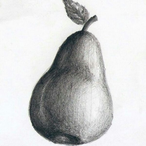 Натюрморт карандашом