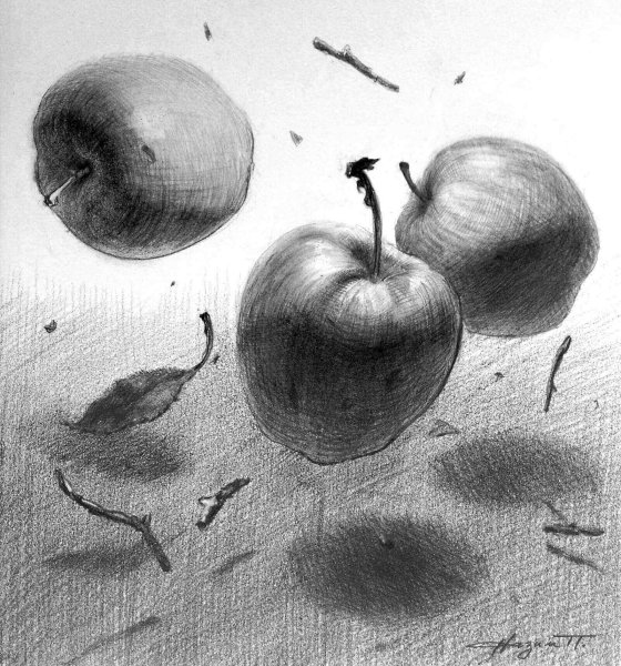 Фрукты карандашом