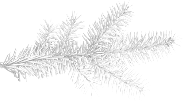 Елочная ветка эскиз