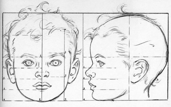 Пропорции детского лица рисунок