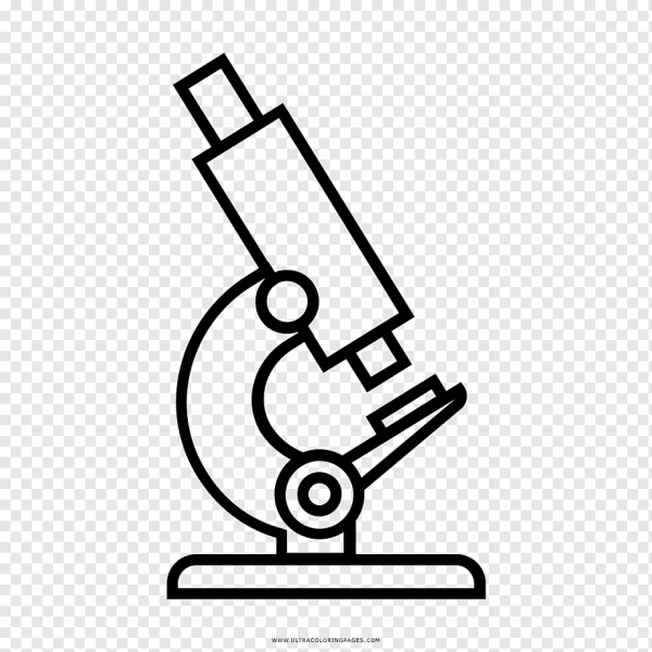 Микроскоп сбоку рисунок