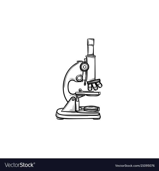 Зарисовать в тетради микроскоп