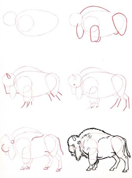 Горный ЗУБР раскраска