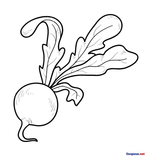 Редис раскраска для детей