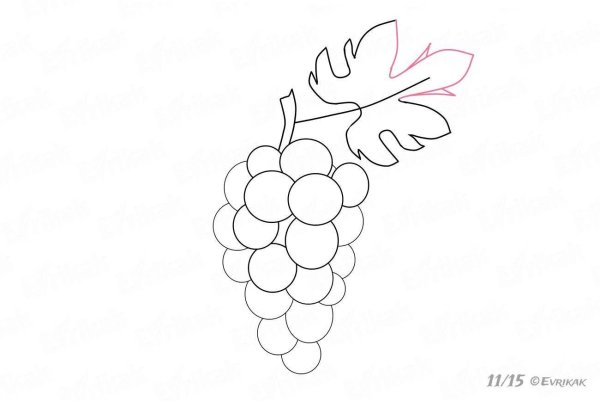 Виноград раскраска для детей