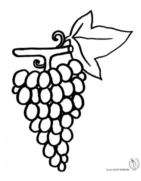 Виноград раскраска для детей