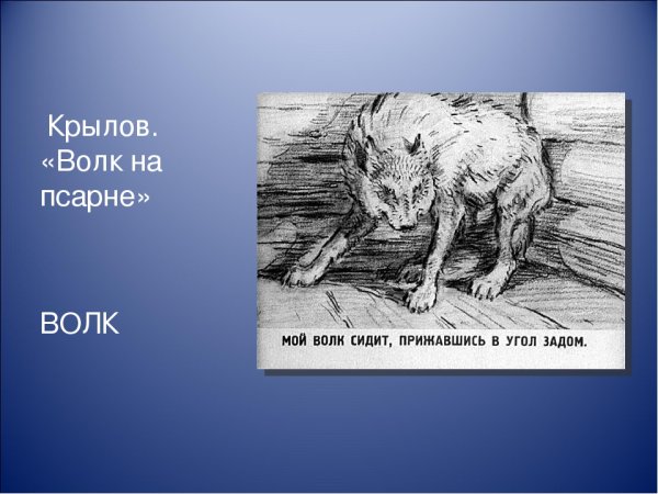 Волк на псарне иллюстрации