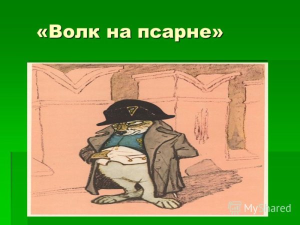 Волк на псарне иллюстрации