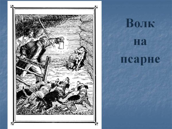 Волк на псарне басня