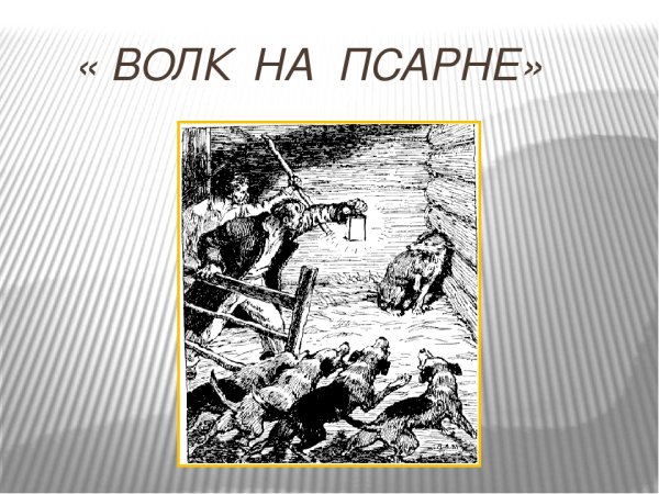 Волк на псарне