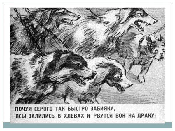 Волк на псарне