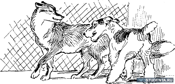 Иллюстрация к басне волк на псарне