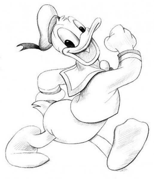 Дональд дак скетч