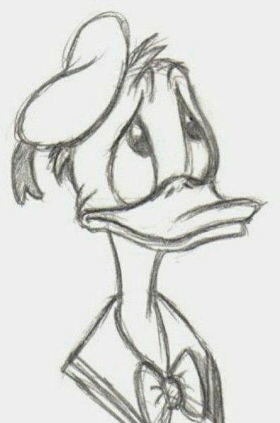 Дональд дак портрет