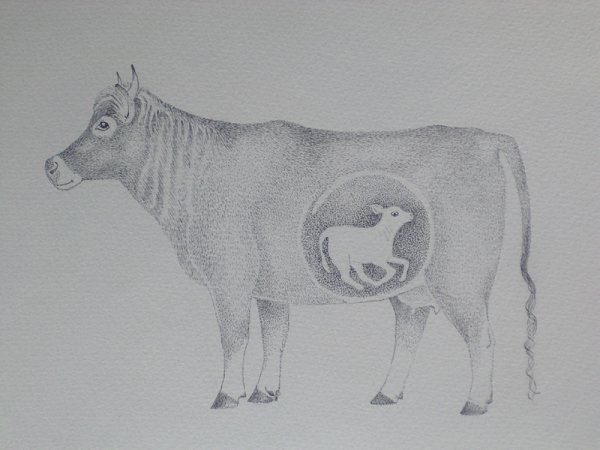 Смешная корова рисунок карандашом
