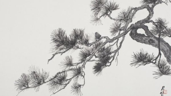 Сосна раскраска