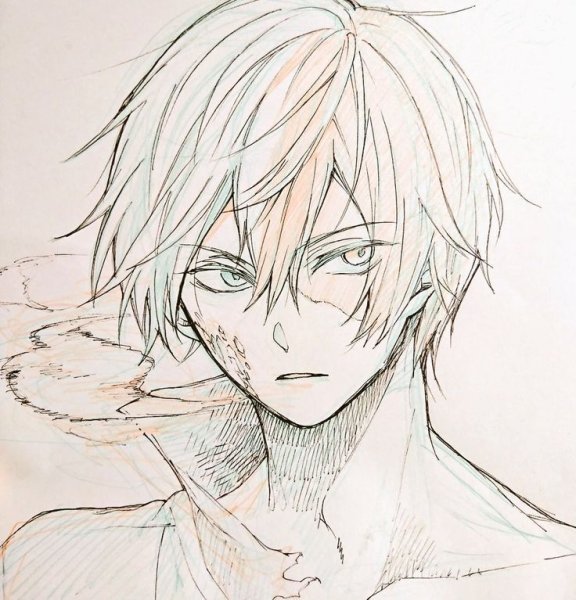 Тодороки лайнарт