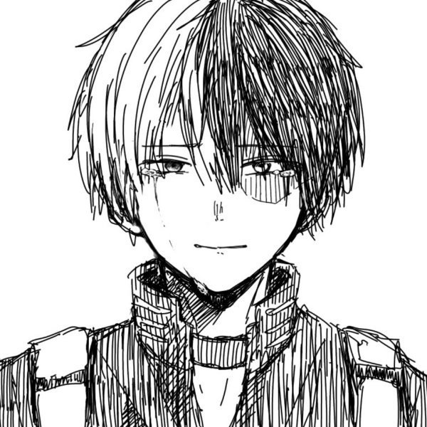 Тодороки скетч