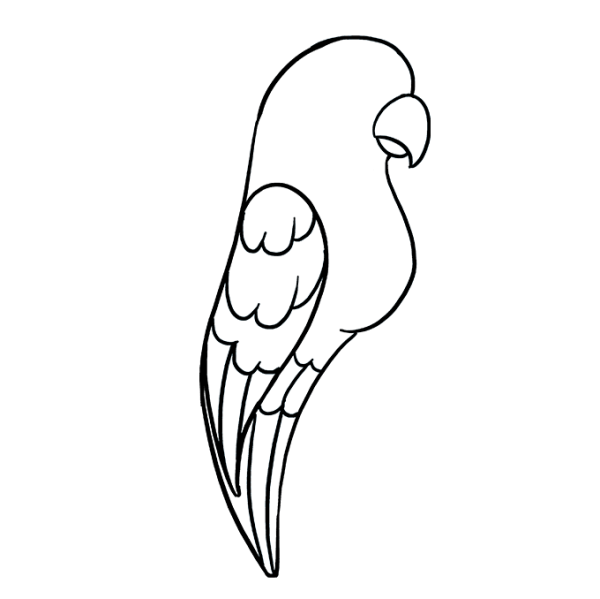 Разукрашка попугай корелла