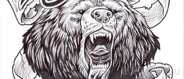 Медведь узор