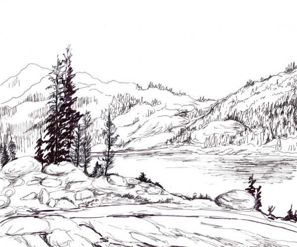 Тайга карандашом