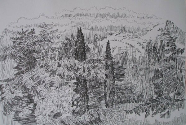 Тайга карандашом