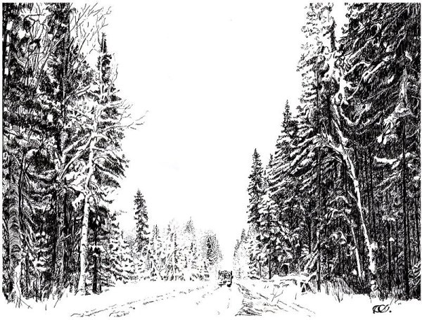 Зимний лес Графика