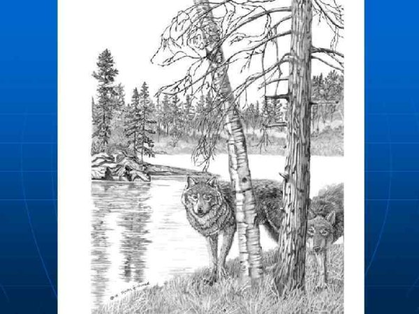 Пейзажи черно белые для выжигания