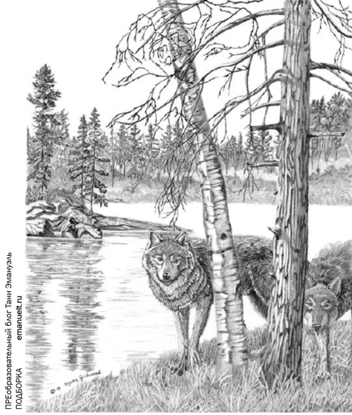 Трафареты для выжигания по дереву природа