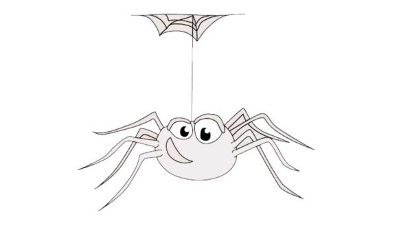 Паук на паутине раскраска