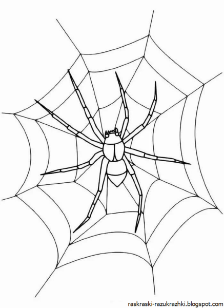 Паук рисование детям