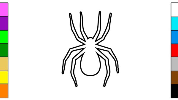 Срисовывать пауков маленьких