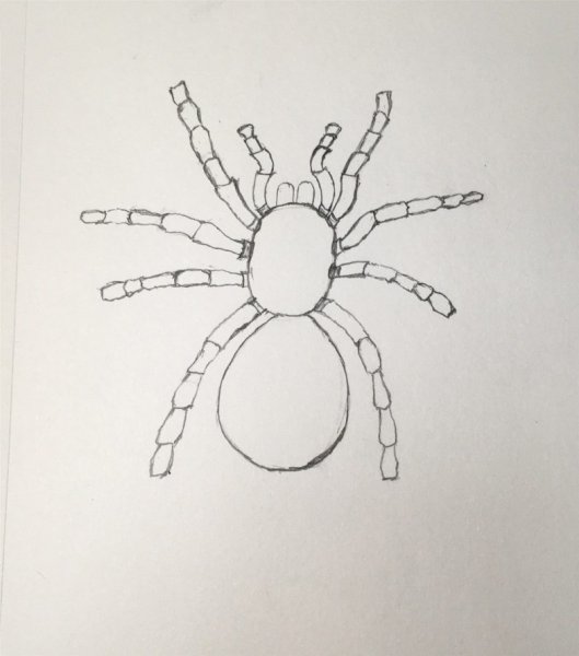 Паук карандашом