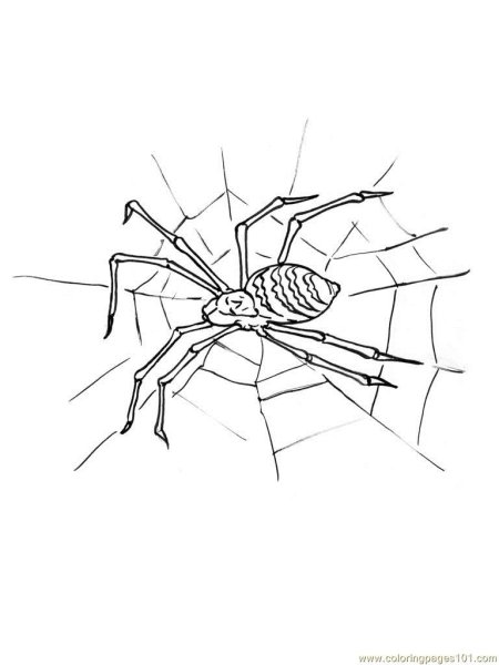 Паук карандашом