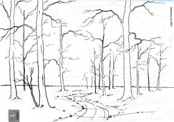 Деревья карандашом для начинающих