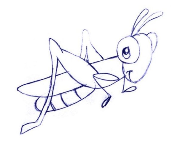 Нарисовать кузнечика карандашом