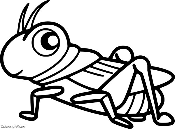 Кузнечик зарисовка