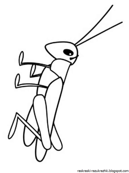 Кузнечик раскраска для детей