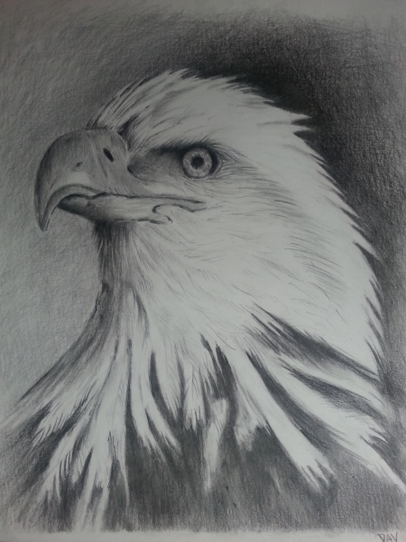 Орел карандашом