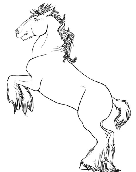 Конь рисунок
