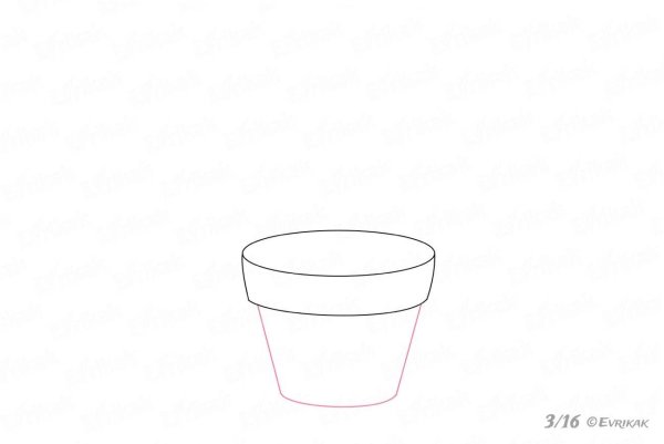 Комнатное растение рисунок