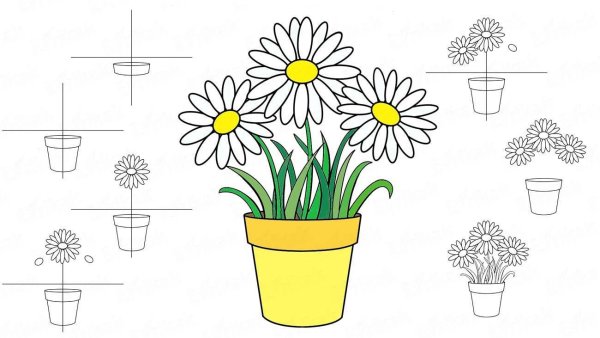 Рисование с натуры цветочного горшка с растением.