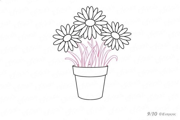 Кактус простым карандашом