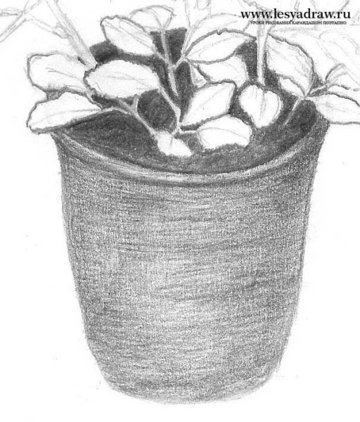 Рисование с натуры цветочного горшка с растением.