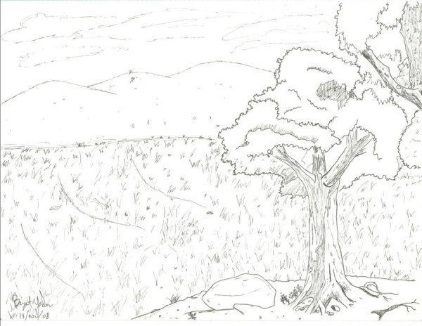 Степь рисунок