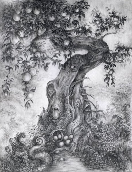 Злое дерево